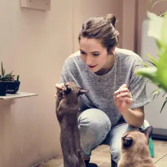 10 cosas que hacen las mascotas cuando no estamos en casa
