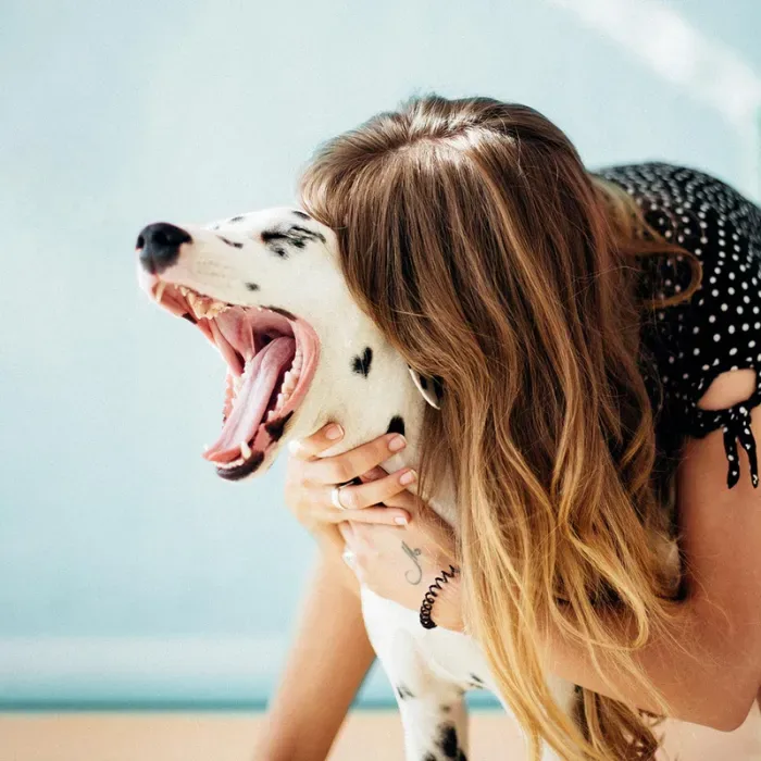 ¿Cómo los perros muestran su afecto?