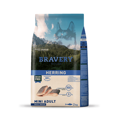 BRAVERY SALMON MINI ADULT SMALL BREEDS1