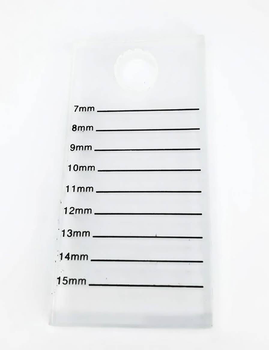 Paleta Elastica con Anillo1