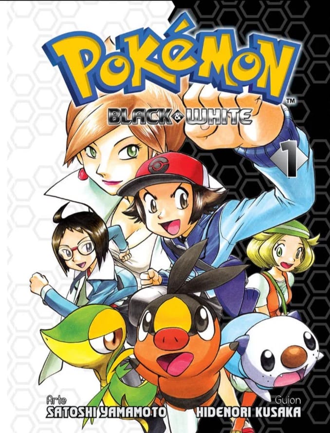 Pokemon Black & White 01