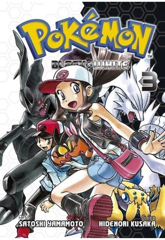 Pokemon Black & White 03
