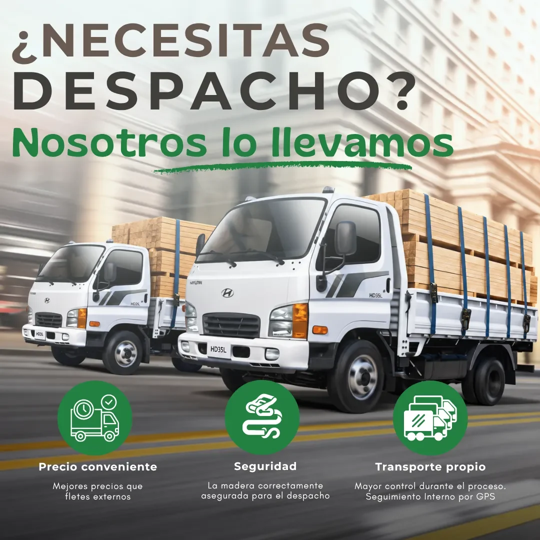 despachocartel 28234.webp