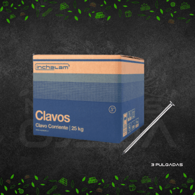 CLAVO CORRIENTE 3