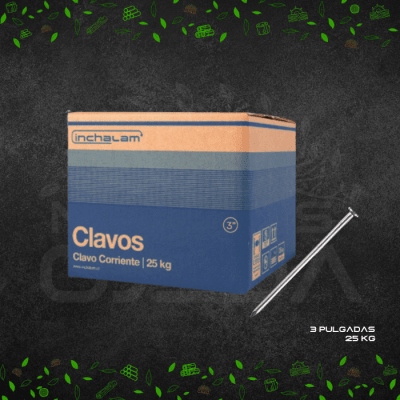 CLAVO CORRIENTE 3