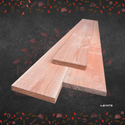 PINO OR BTO 4.0 1X81