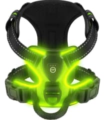 ARNES COLORES CON LUZ USB
