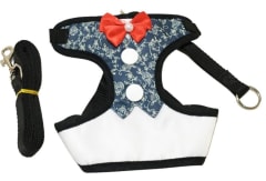 ARNES TRAJE COLOR 8-12 KG