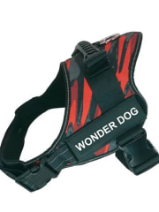 ARNES WONDER DOG HH088