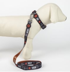 DISNEY CORREA DE PERROS STAR WARS