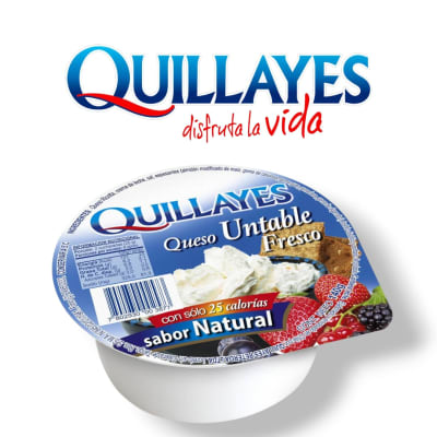 Queso fresco untable natural 140 gr Quillayes1
