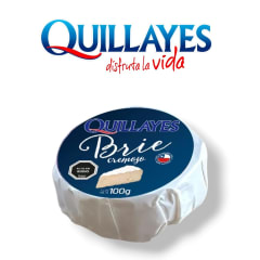 Queso Brie 100gr Quillayes