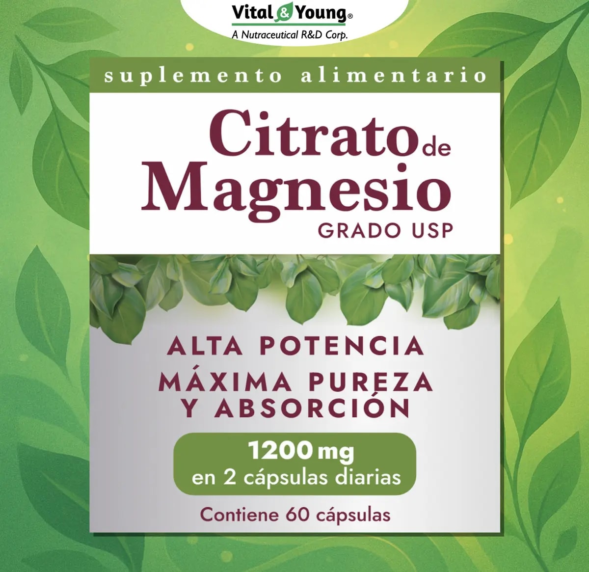 Citrato de Magnesio V&Y2