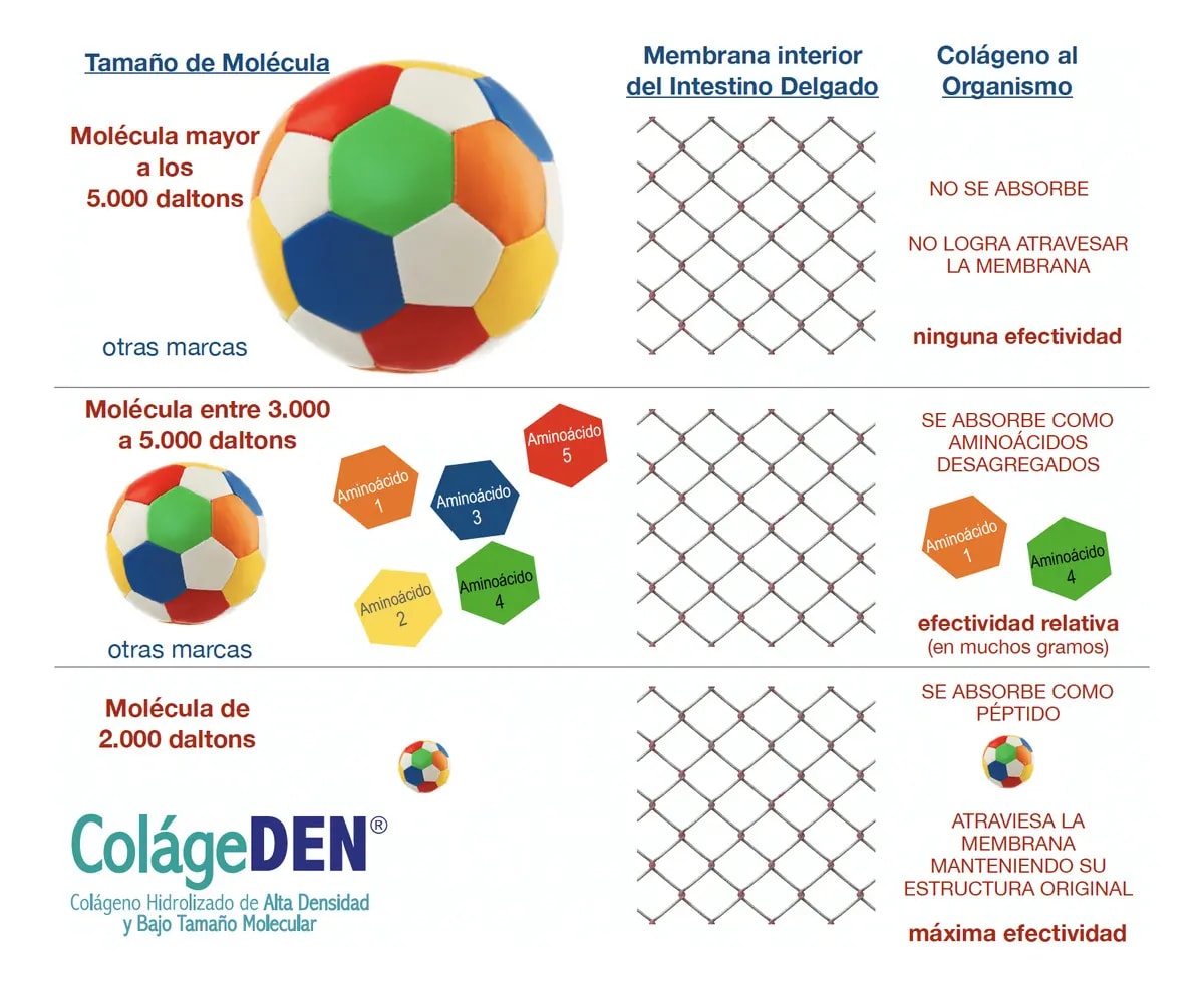 ColágeDEN V&Y5