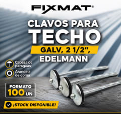 Clavo para Techo con Golilla Bolsa 100 Un EDELMANN