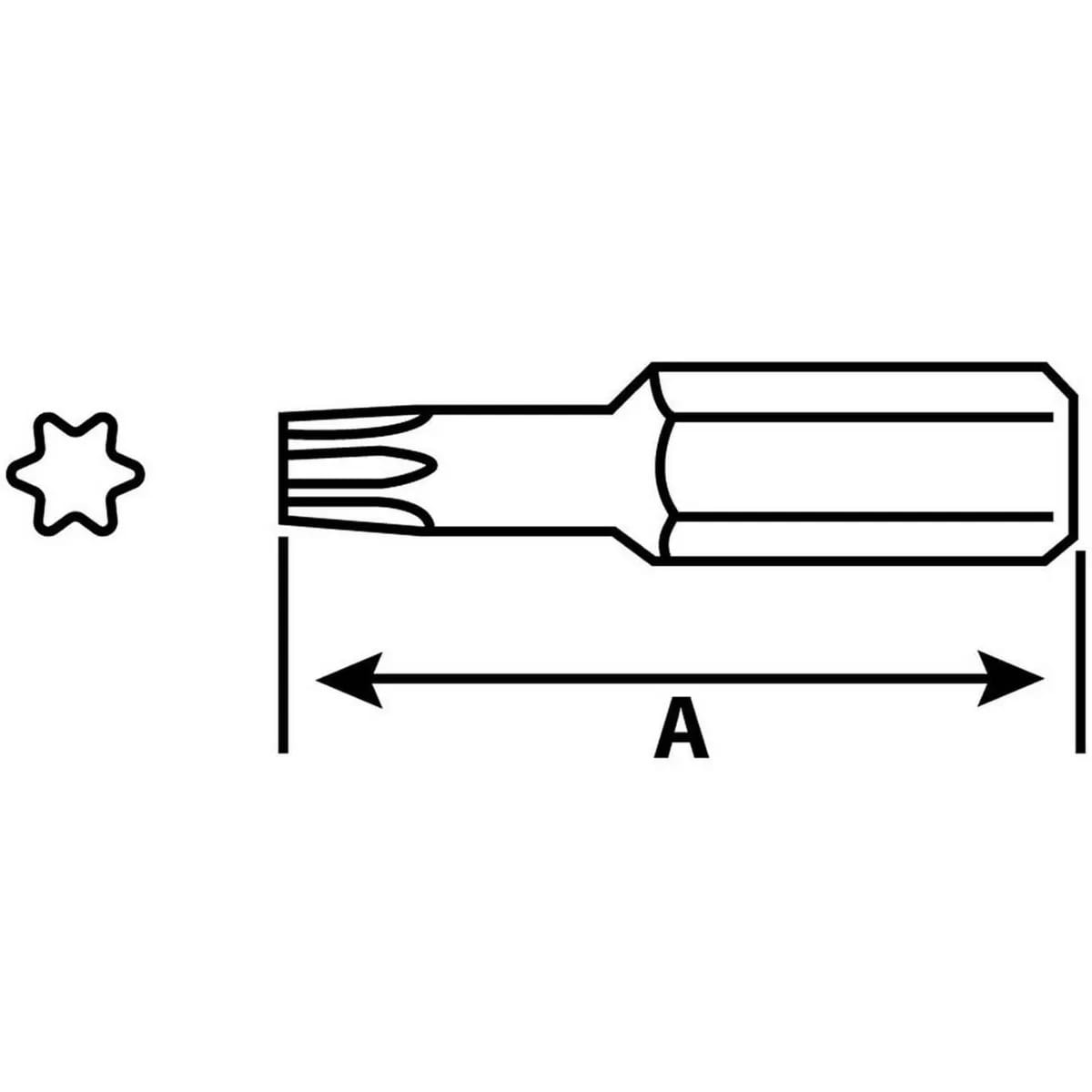 Punta Torx IMPORPER3