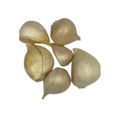 Ajo Chilote Malla 250 grs.