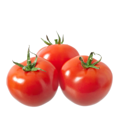 Tomate Extra Mayorista Kg.