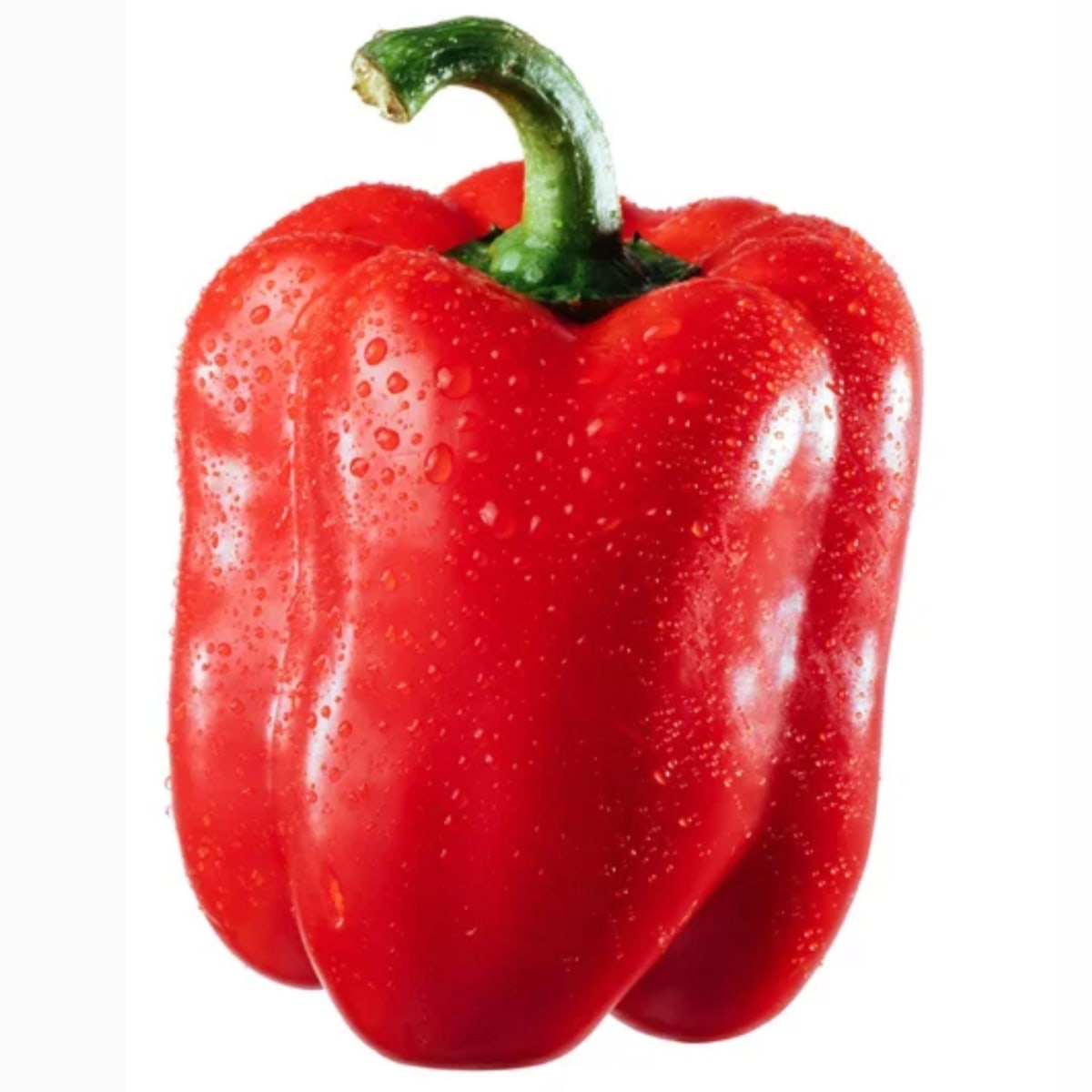 Pimenton Rojo Unidad1