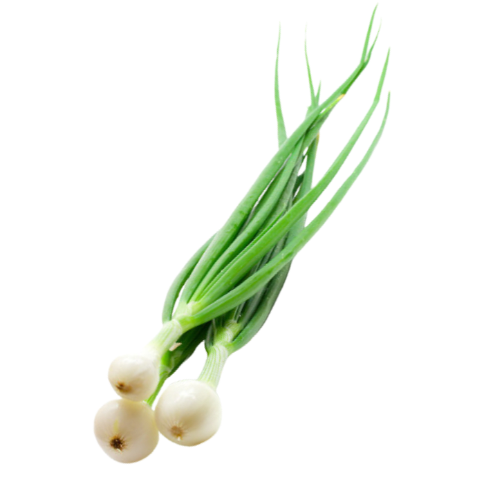 Cebollin 3 Unidades1