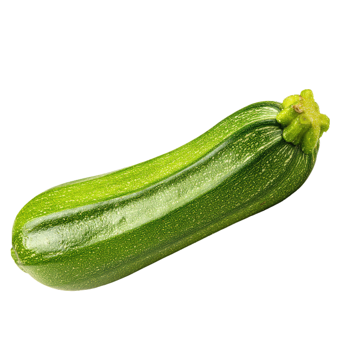 Zapallo Italiano Unidad1