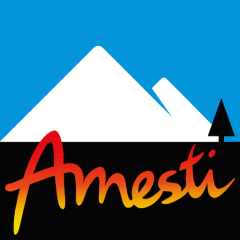 AMESTI