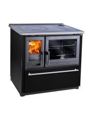 COCINA A LEÑA CALDERA ALTIMA AMESTI 0