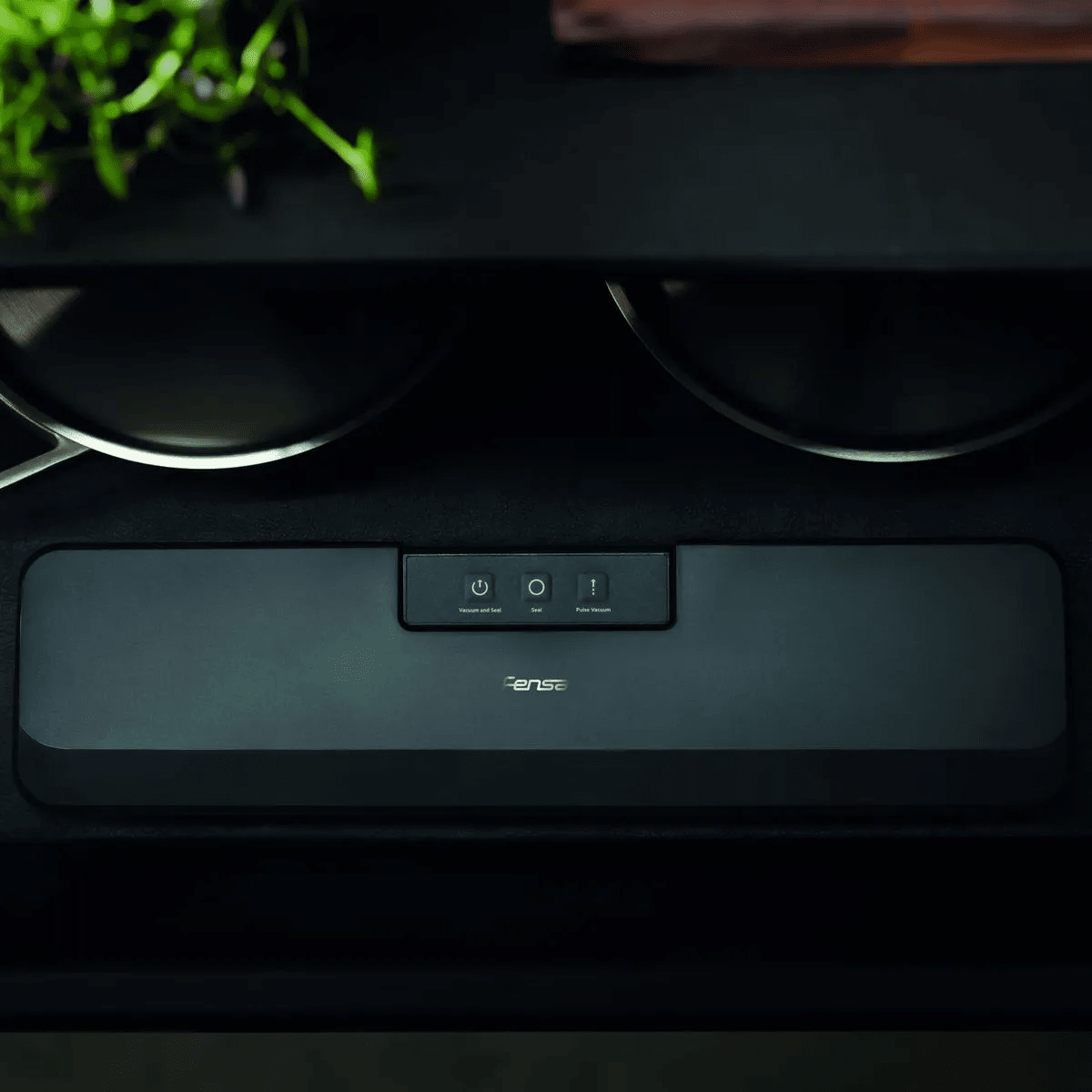 SELLADORA AL VACIO FENSA4