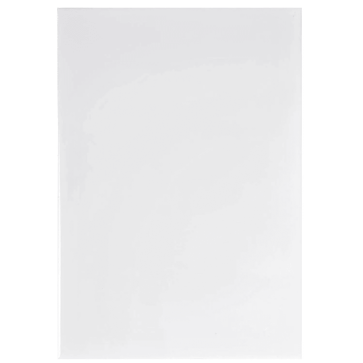 CERAMICA MURO BLANCO BTE 20X301