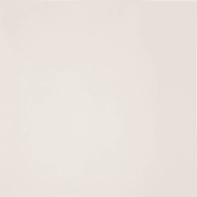 PORCELANATO SANTOS PULIDO 60X601