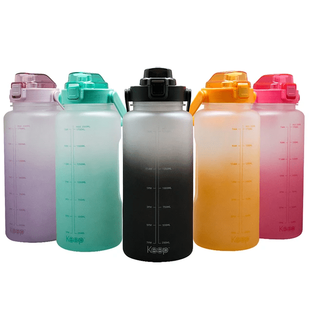 BOTELLA 2LT DAILY1