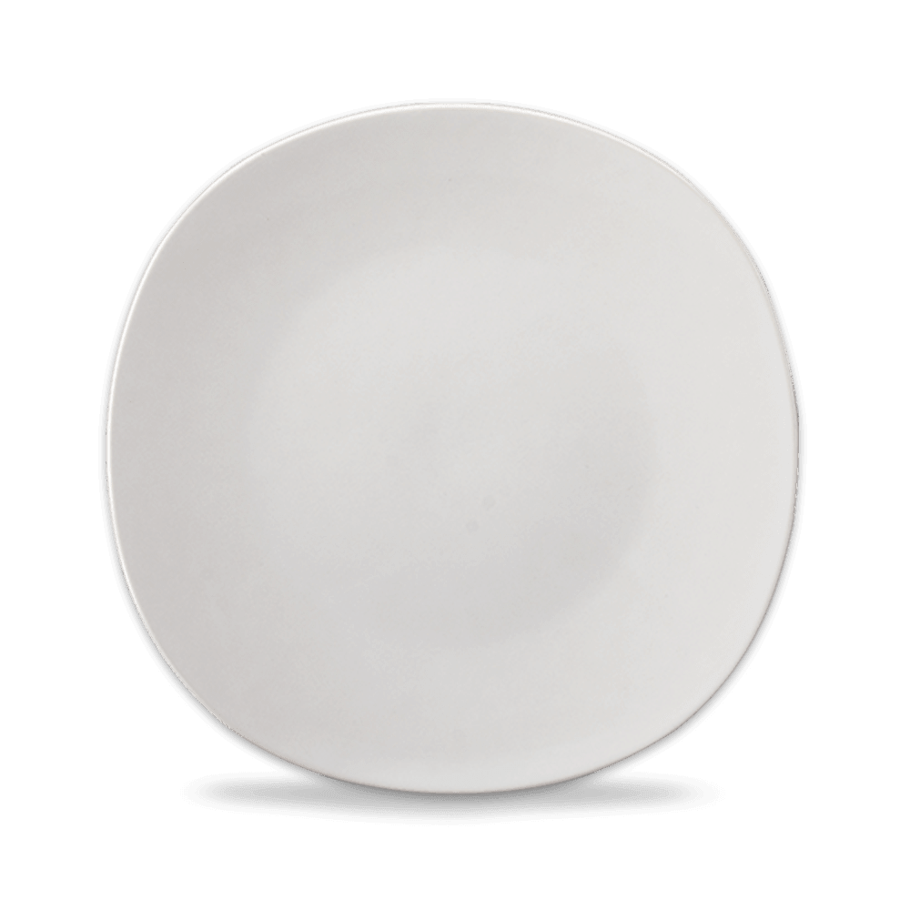 VAJILLA 16P ANTARTIC3