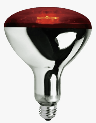 AMPOLLETA INFRAROJA 250W1