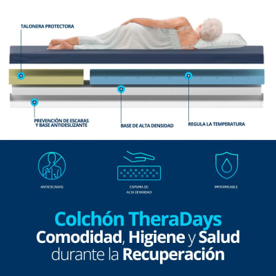 COLCHON ANTIESCARAS THERADAYS TM5261