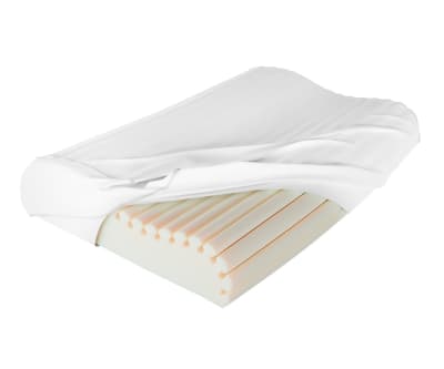 ALMOHADA ERGONÓMICA THERACURVE1