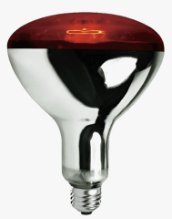 AMPOLLETA INFRAROJA 250W
