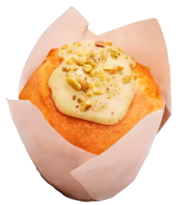 Tulipe Pistacho1