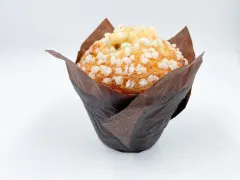 Tulipe Big Apricot - Muffin Damasco