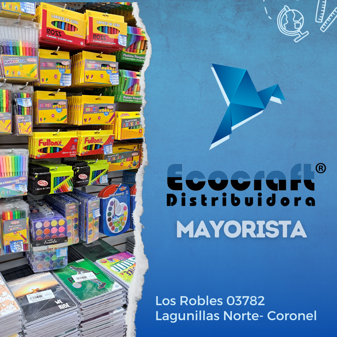 Impulsa tu Negocio con Distribuidora Ecocraft