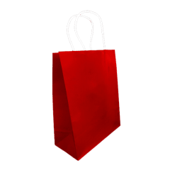 12 Bolsa Regalo 22X27X11 Kraft