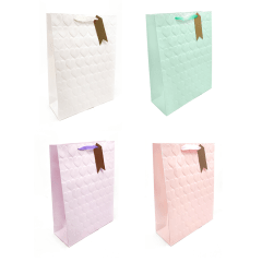 Bolsa Regalo Mediana 18x23 Corazon 3D Pastel Feco