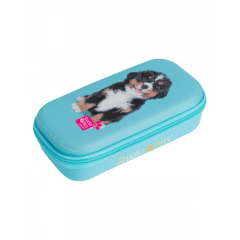Estuche Box Estudio Pets Mooving