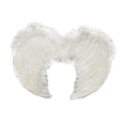 Alas De Angel Plumas 80x60cm