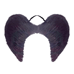 Alas De Angel Plumas 60x45cm