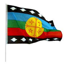 Bandera Mapuche 60x90 Feco