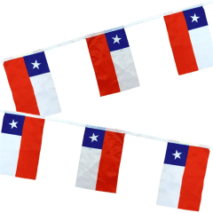 Guirnalda Bandera Chile Tela 3Mts