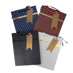 Bolsa Regalo Mediana 18X23