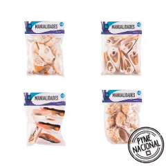 Conchitas De Mar Surtidas Medianas Y Grandes