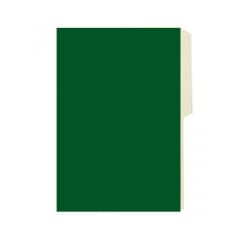 Carpeta Cartulina Pigmentada