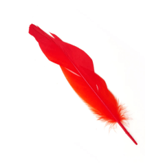 Set Plumas Roja